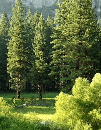William J. Agoney Obituary