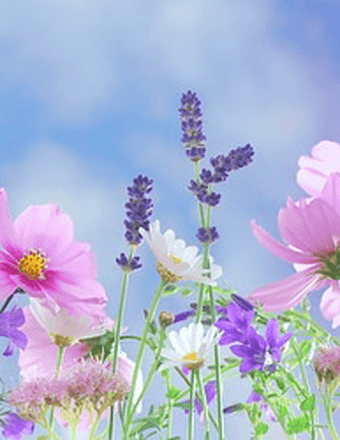 Lucille R. LaFountain Obituary